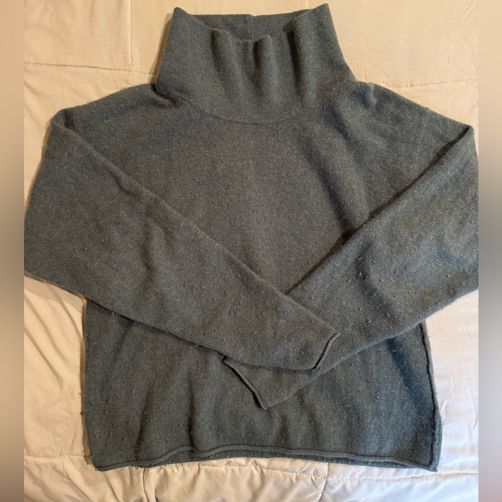 Free People Turtleneck Sweater